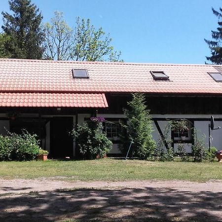 Agroturystyka Pod Debami W Klukach Smołdzino Esterno foto