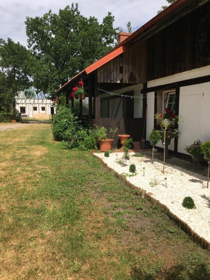 Agroturystyka Pod Debami W Klukach Smołdzino Esterno foto