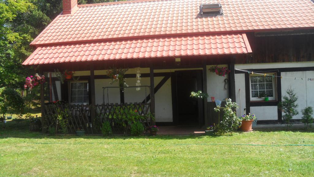 Agroturystyka Pod Debami W Klukach Smołdzino Esterno foto