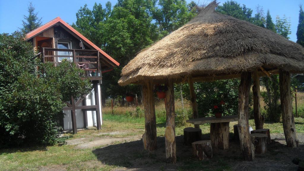 Agroturystyka Pod Debami W Klukach Smołdzino Esterno foto