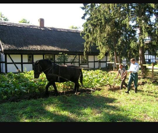 Agroturystyka Pod Debami W Klukach Smołdzino Esterno foto