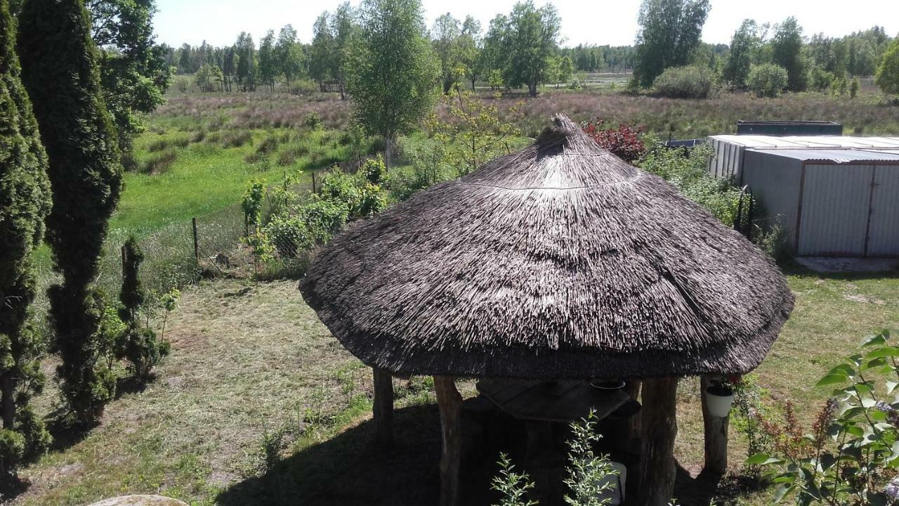 Agroturystyka Pod Debami W Klukach Smołdzino Esterno foto