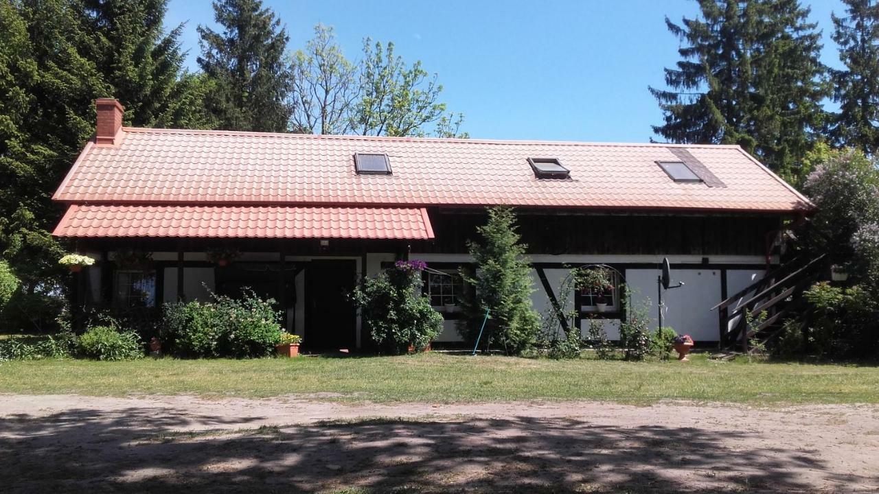 Agroturystyka Pod Debami W Klukach Smołdzino Esterno foto
