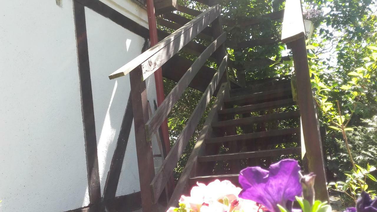 Agroturystyka Pod Debami W Klukach Smołdzino Esterno foto