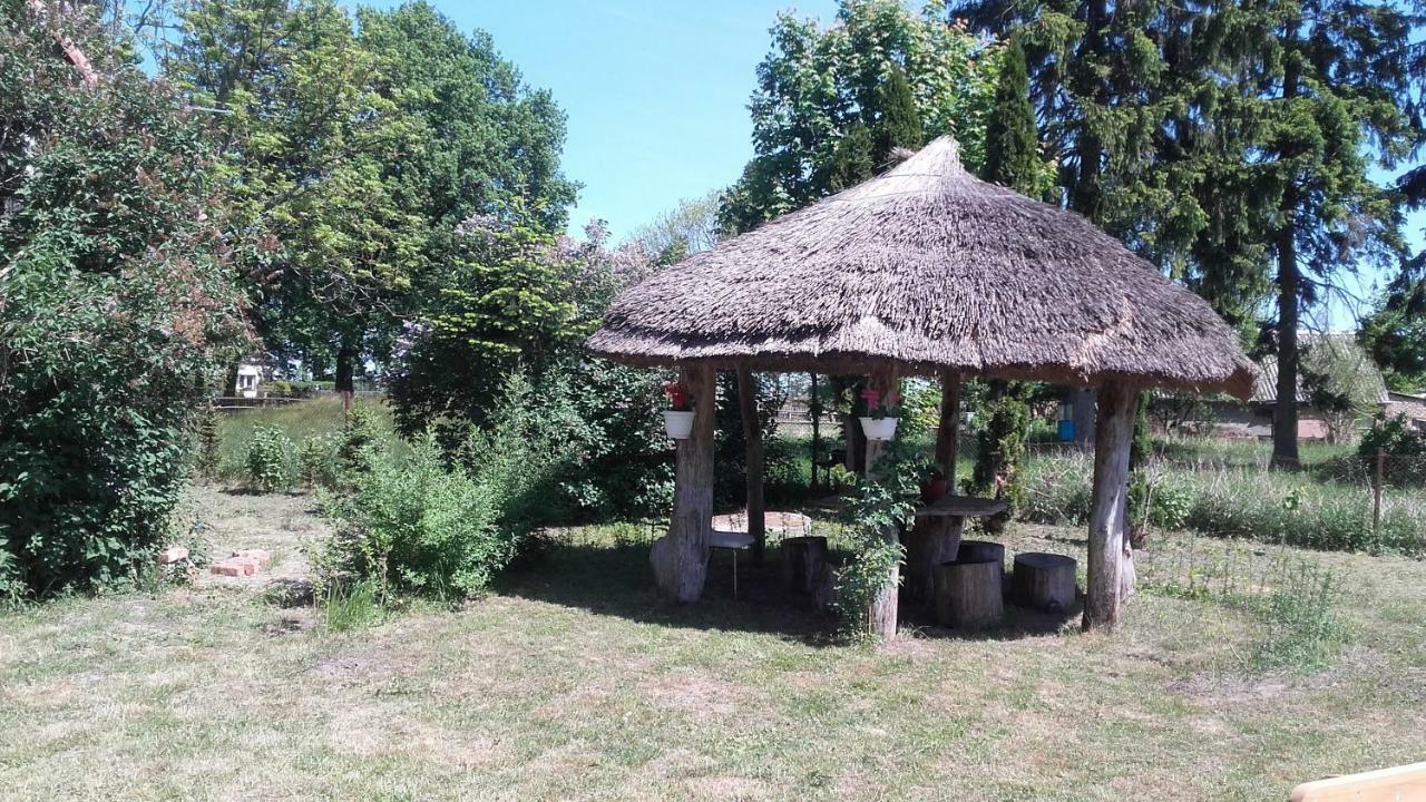 Agroturystyka Pod Debami W Klukach Smołdzino Esterno foto